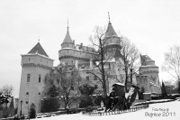 /album/fotogaleria/img-2906-jpg/