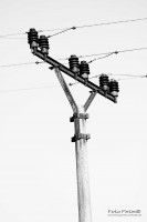 /album/fotogaleria/img-3195-jpg/