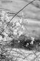 /album/fotogaleria/img-3155-jpg/